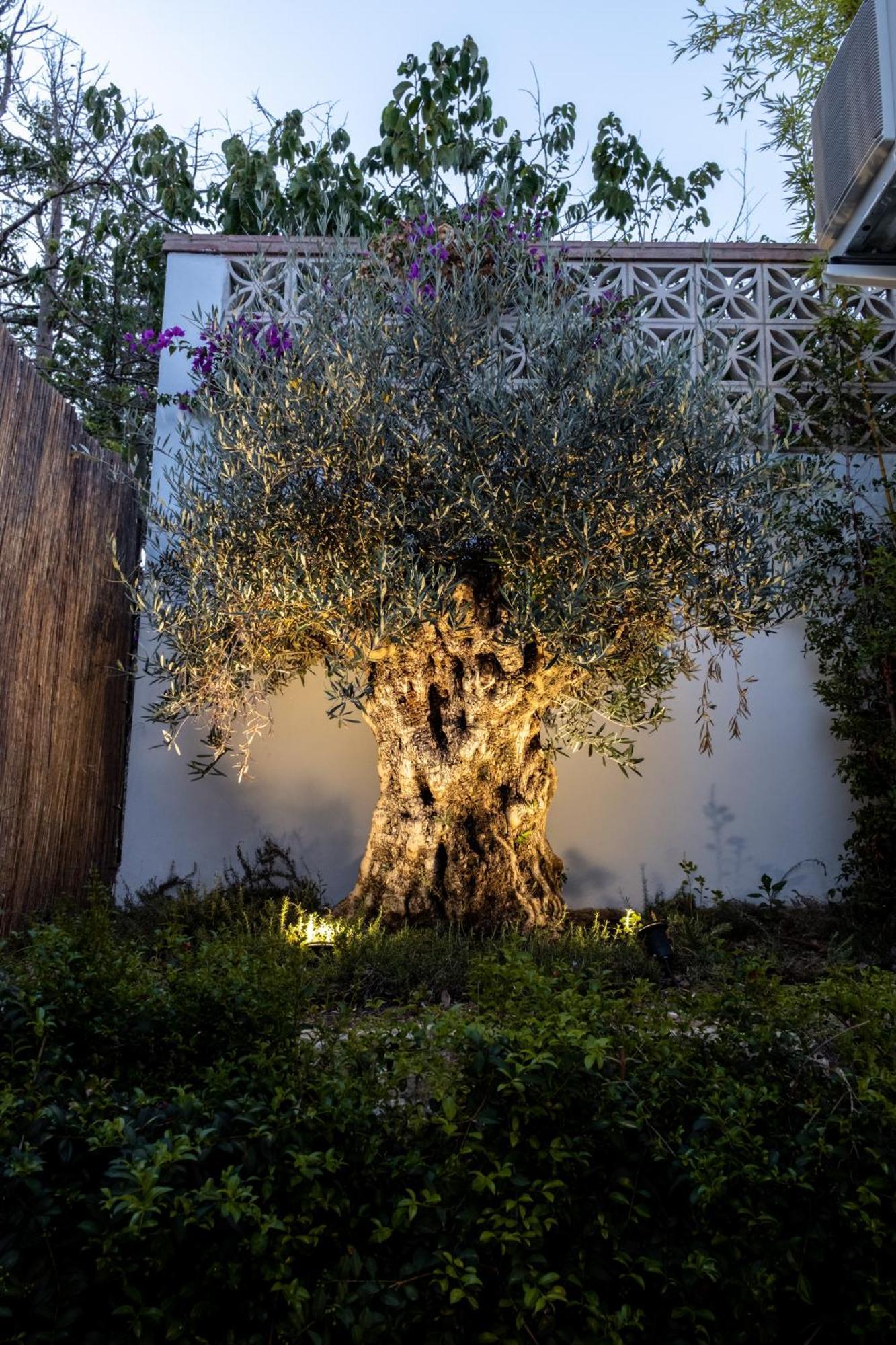 Casa Bodhi Boutique Hotel & Spa มาร์เบยา ภายนอก รูปภาพ